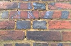 Masonry bees and the holes they made in the structural wall