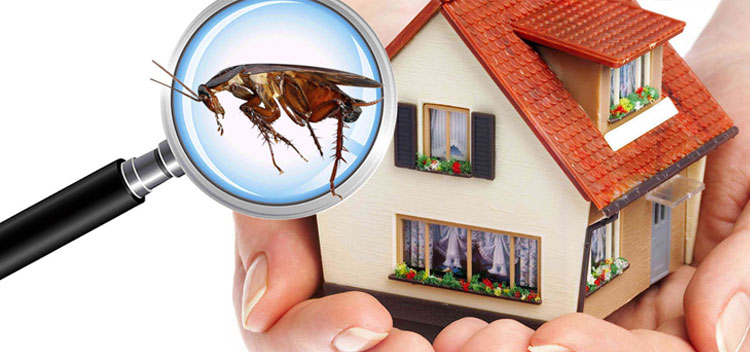 Redkinght Pest Control
