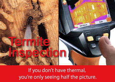 pic_termite-inspection